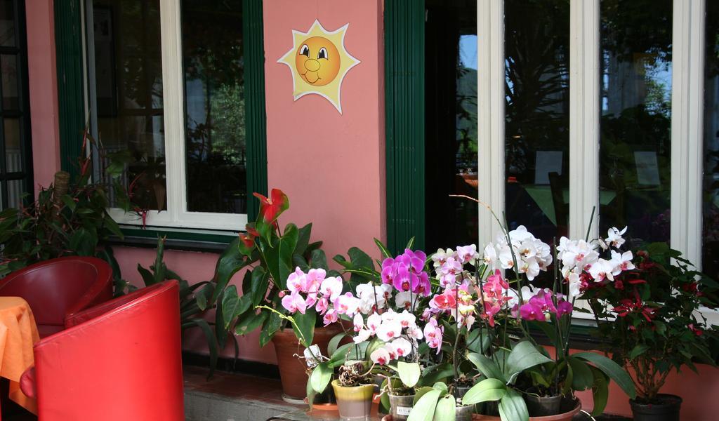 Hotel 5 Terre Nel Sole 데이바마리나 외부 사진
